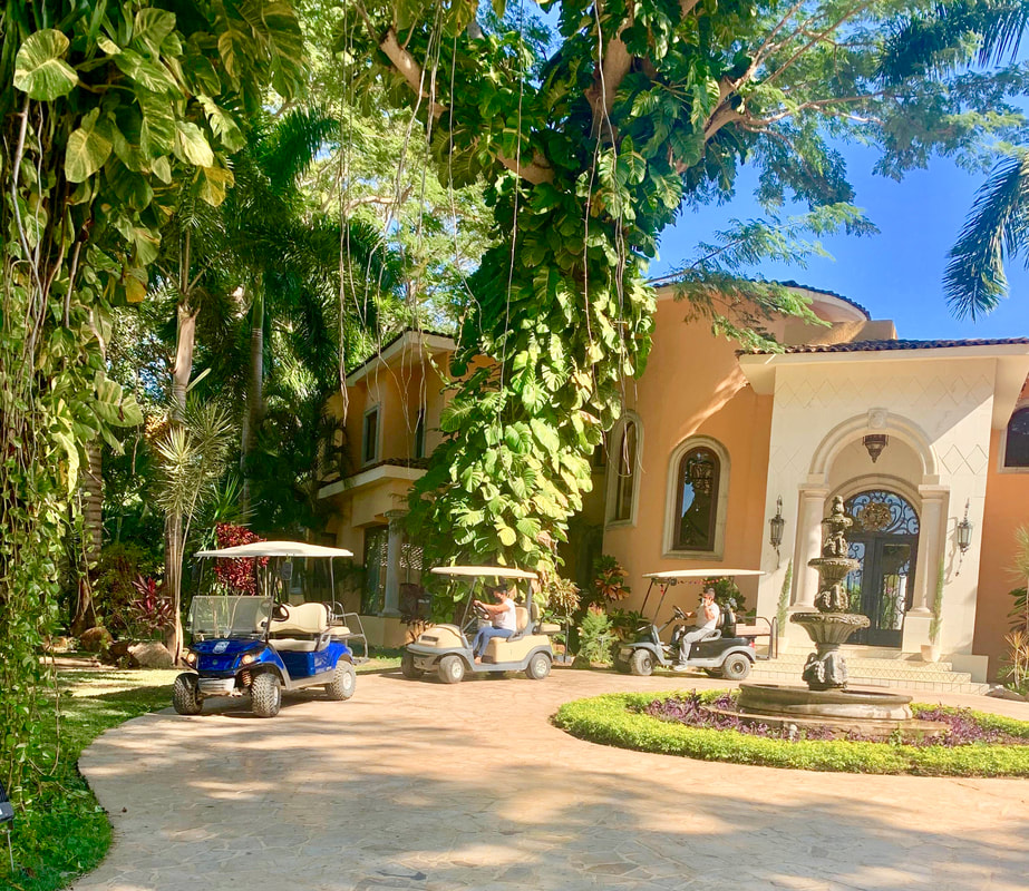 4-Seater Golf Cart highlight 2