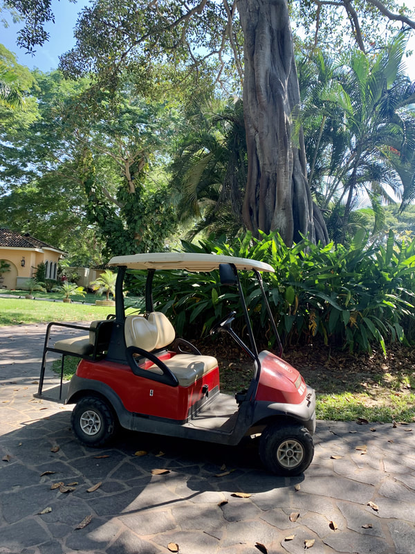 4-Seater Golf Cart highlight 4