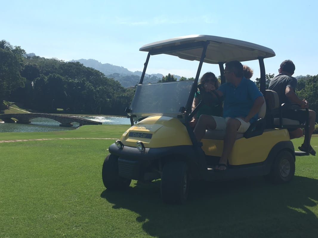 4-Seater Golf Cart highlight 6